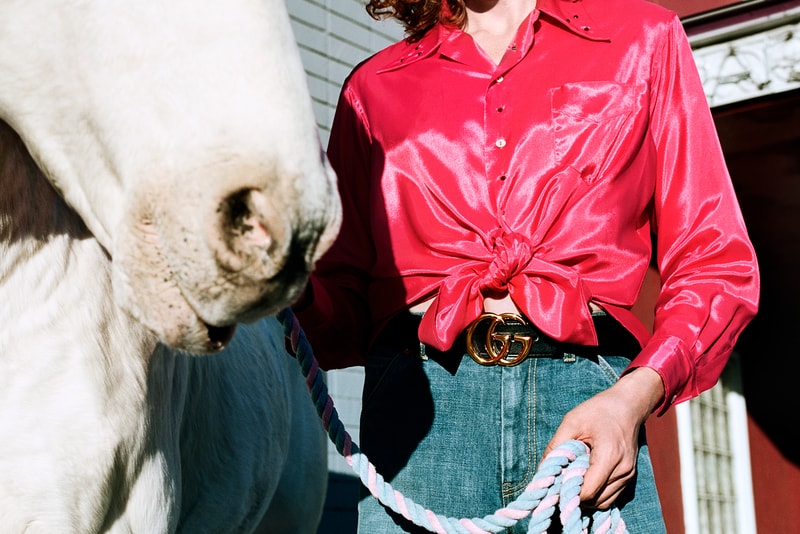 gucci spring summer advertising campaign alessandro michele yorgos lanthimos horses