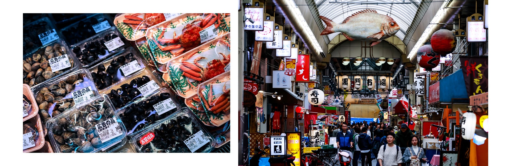 osaka japan city guide travel restaurant dotonbori food market tourist