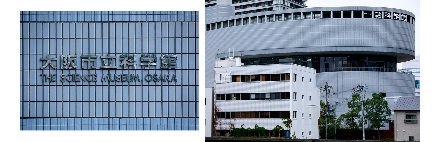 osaka japan city guide travel restaurant dotonbori food market tourist