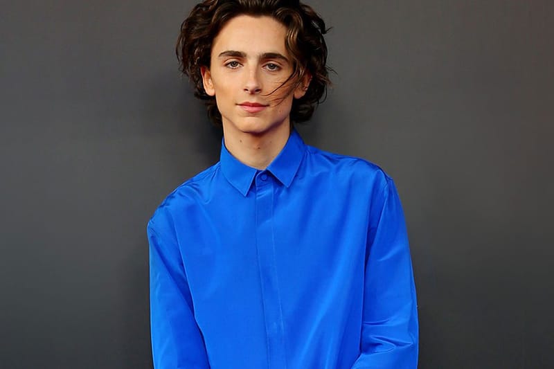 Timothée Chalamet Will Play Bob Dylan in Upcoming Biopic