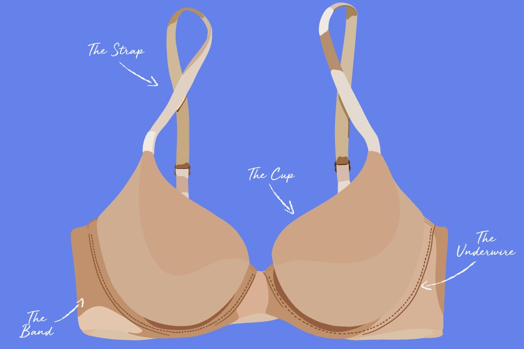 Esty Lingerie - New on the blog today, a comparison of 8 different bra  styles that shows how different shapes and seam placements affect the shape  the bra will give you:   shapes/