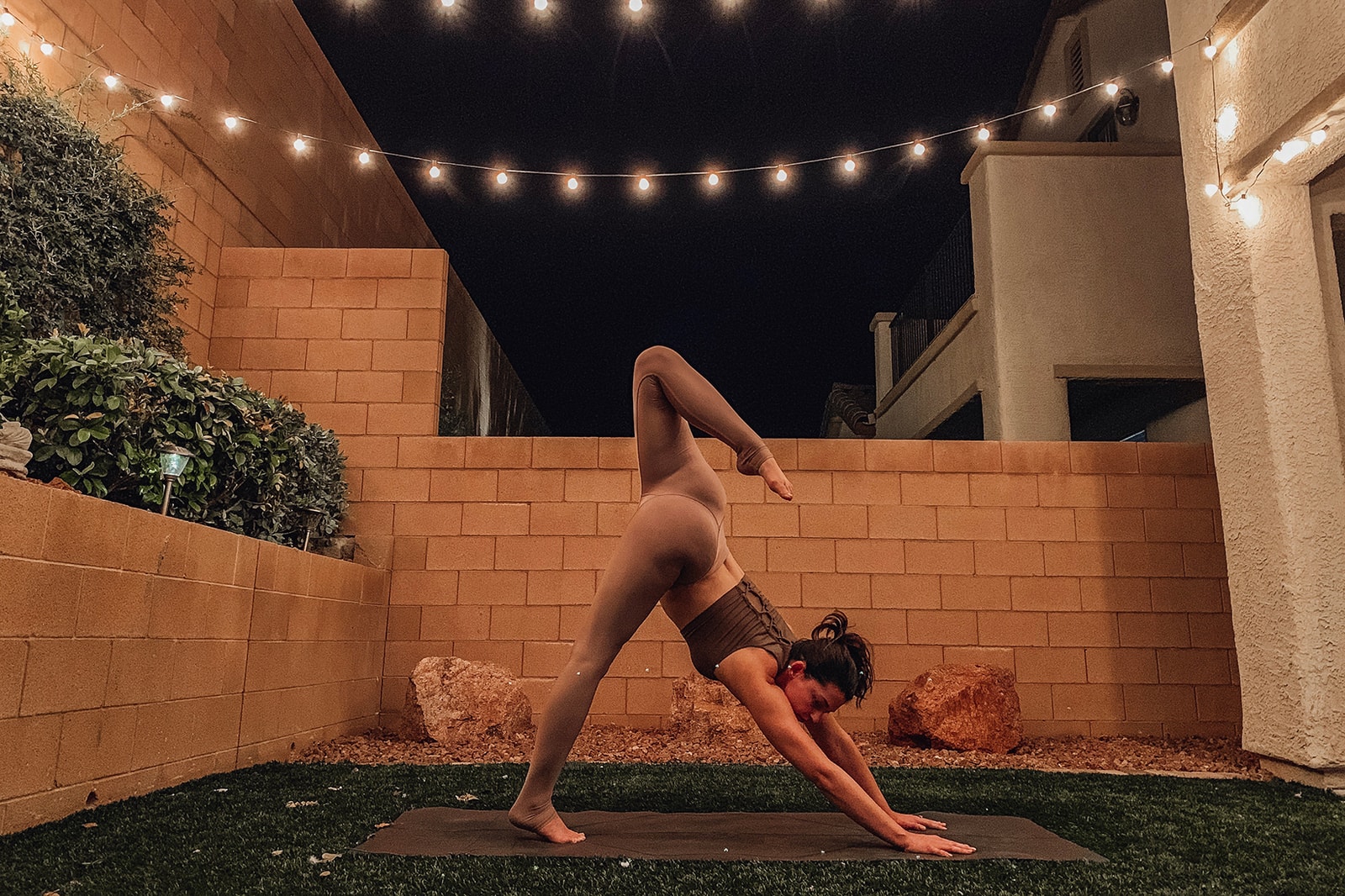 Yoga Downward Dog Pose Sam Malamet Yogi