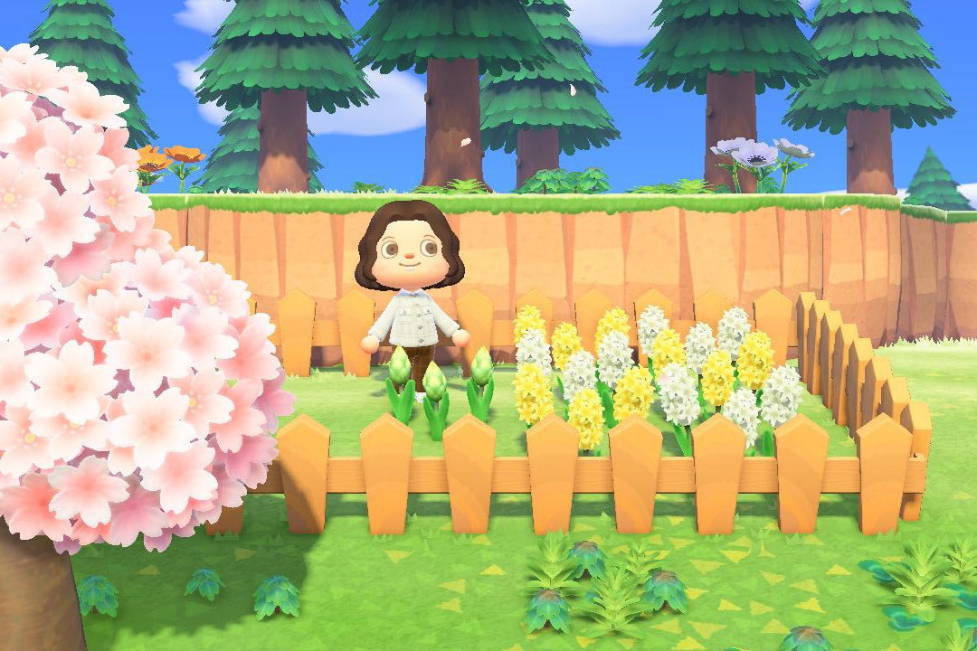 Animal Crossing New Horizons ACNH Nintendo Switch Flower Garden Farming