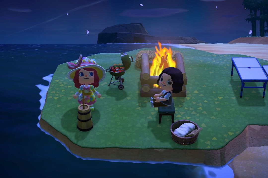Animal Crossing New Horizons ACNH Nintendo Switch Virtual Hangout Friends Online