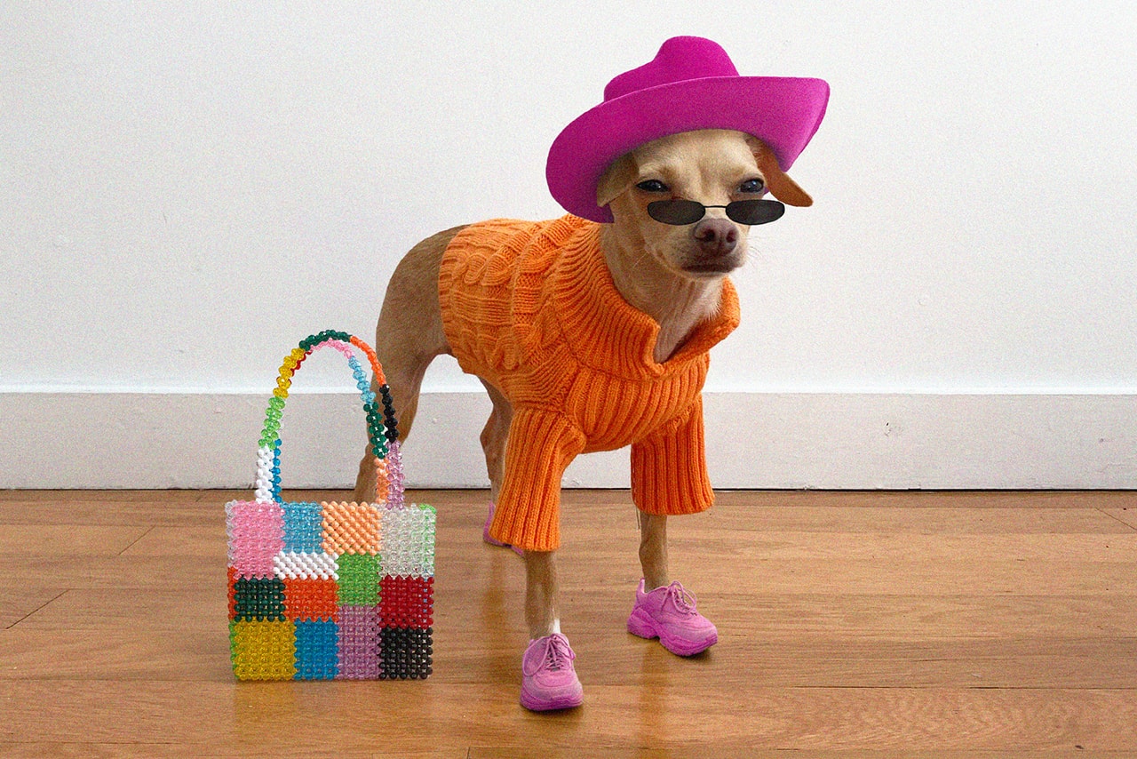 Boobie Billie, Instagram's Most Fashionable Dog | HYPEBAE