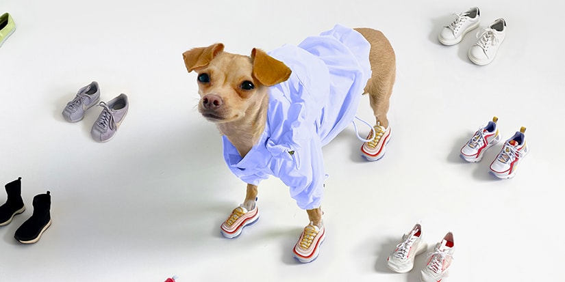 25lb puppy clothes Donbook Large Size Dog Clothes for Big Dogs Golden Retriever Winter Pe