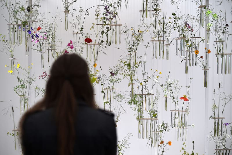 London's Iconic Chelsea Flower Show Will Be Shown Online