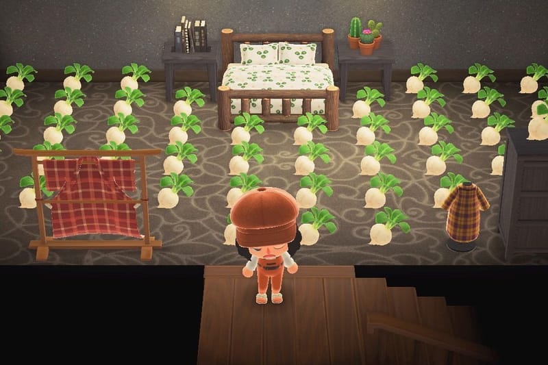 The Turnip Market on 'Animal Crossing: New Horizons' Is The Virtual Version of Supreme Lines