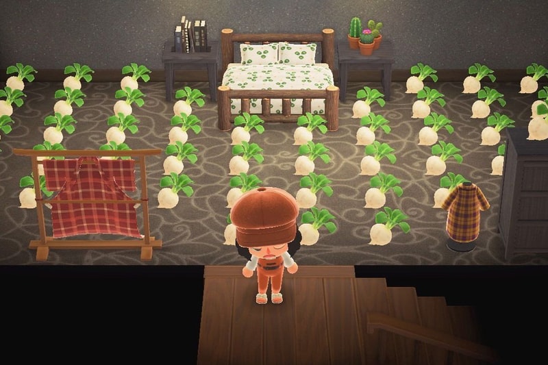 Animal Crossing New Horizons Nintendo Switch Video Game Turnips Stalk Market