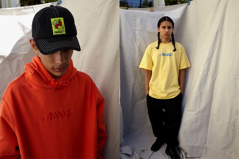 awake ny sam friedman spring summer collaboration purple pastel green hoodies 