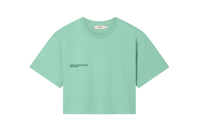 Pangaia Seaweed Family Collection Crop T-Shirt Mint
