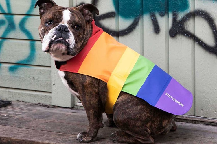 Stutterheim Releases Rainbow Dog Coat for Pride Month