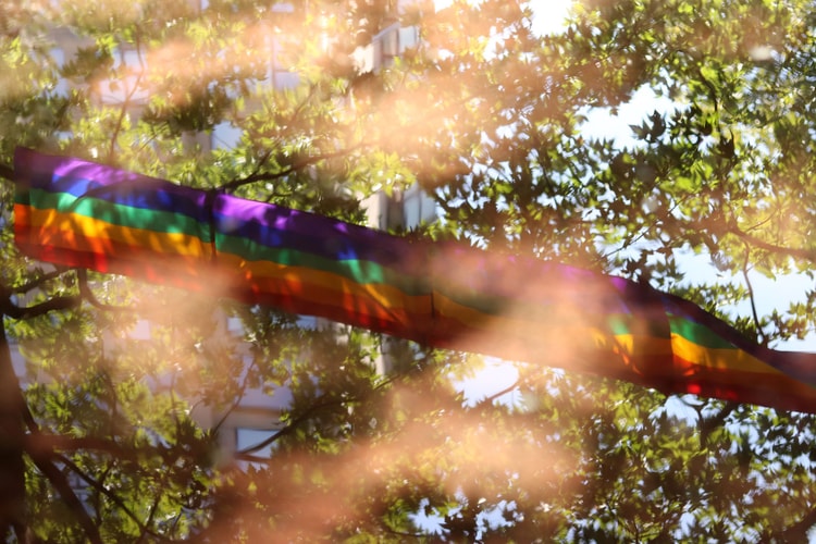 13 Virtual Events to Celebrate the 50th Anniversary of Pride Month