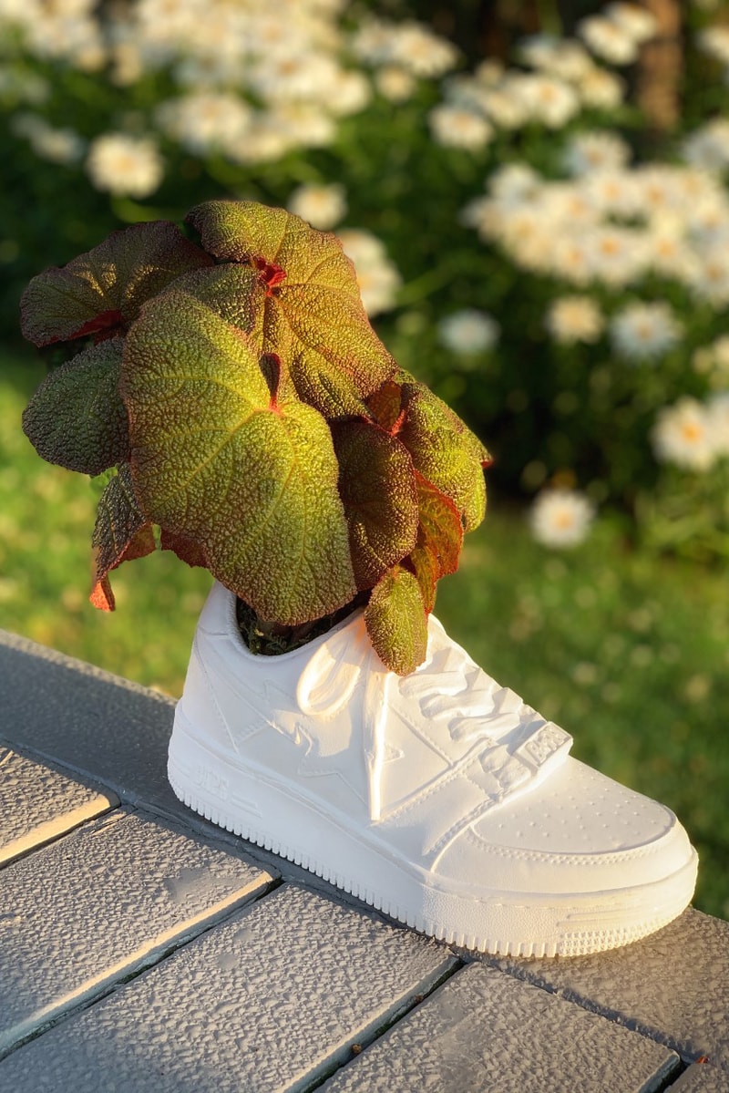 BAPE x Bodega Rose BAPE STA Sneaker Planter Plant Pot Vase White