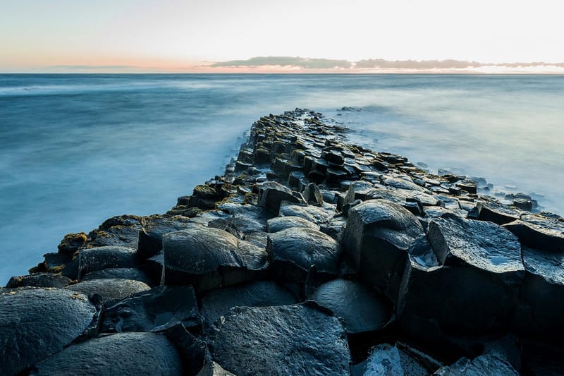 British 'Vogue' Launches New Nature-Focused #VogueChallenge for Its August 2020 Issue