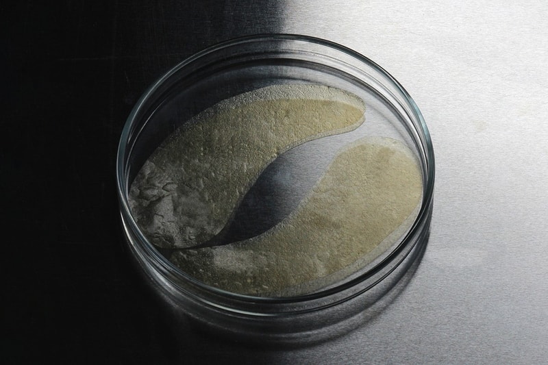 haeckels grown to order skincare bio restore membrane under eye masks sustainable science technology 