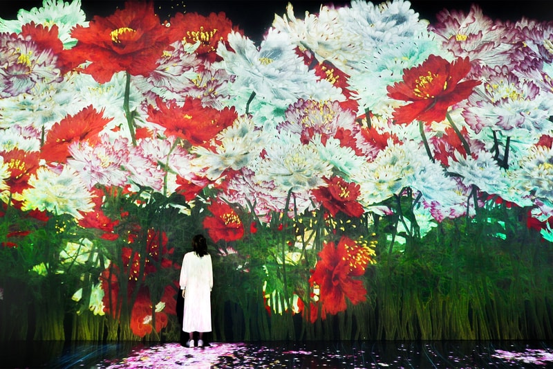 teamlab life seoul south korea dongdaemun design plaza digital art exhibition installation