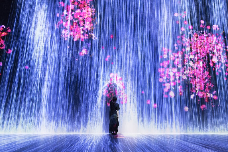 teamlab life seoul south korea dongdaemun design plaza digital art exhibition installation