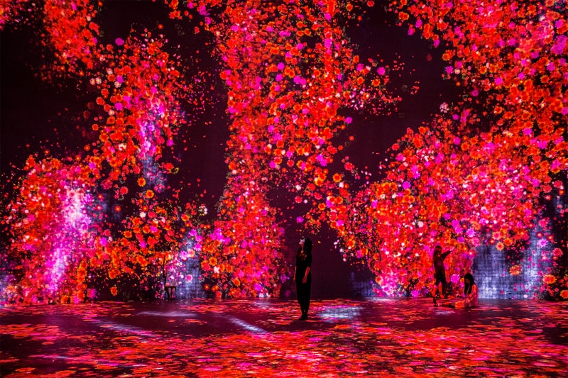 teamlab life seoul south korea dongdaemun design plaza digital art exhibition installation