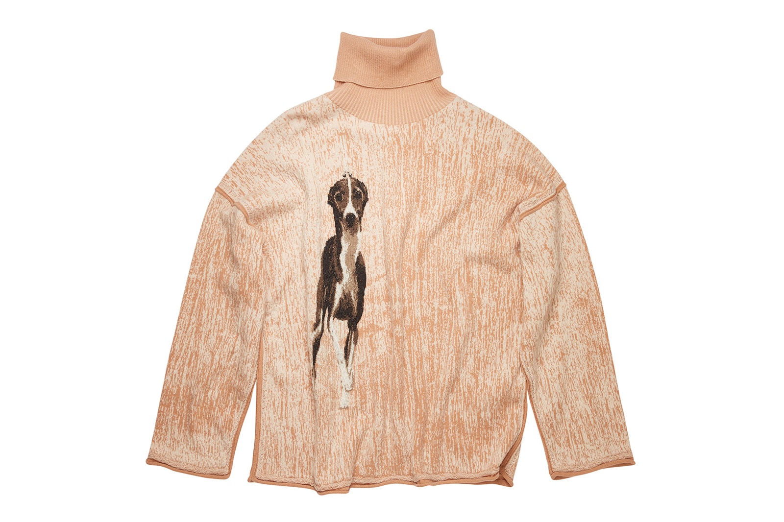 acne studios fall winter campaign dogs pets employees shirts flannels hoodies blazers coats jonny johansson 