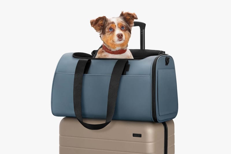 Away Launches Pet Carrier Bag for Your Furry Friends