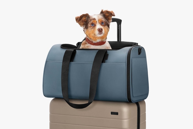 Away Launches New Pet Carry Travel Bag Black Teal