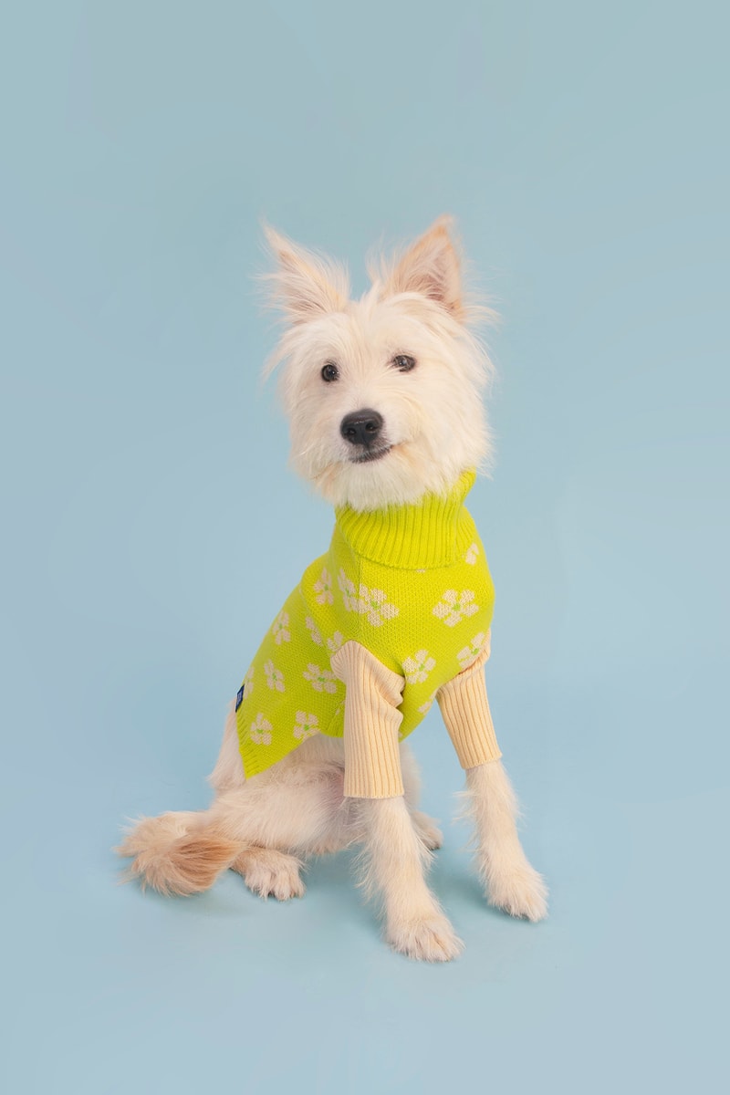 Little Beast Dog Clothing Sweater Hoodie Tie-Dye