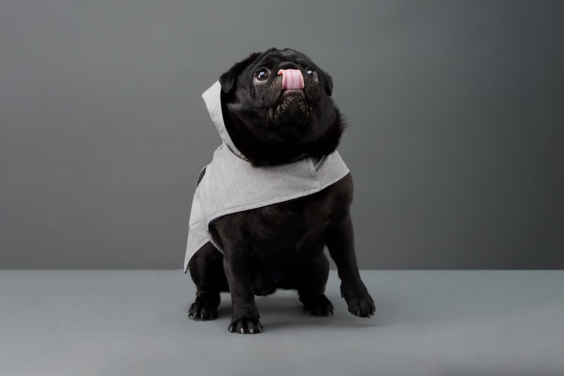 The Barkers Dog Clothing Rex Trench Coat White