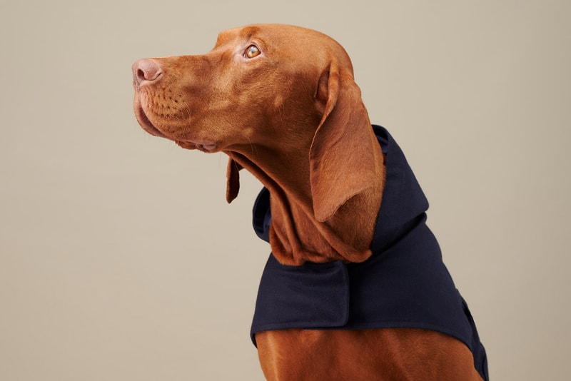 The Barkers Dog Clothing Rex Trench Coat White