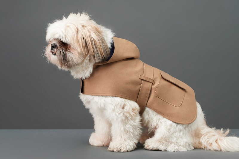 The Barkers Dog Clothing Rex Trench Coat White