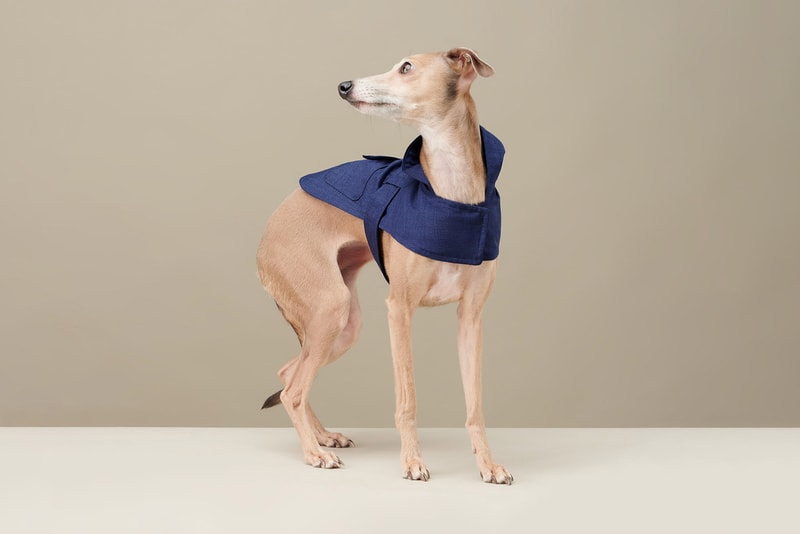 The Barkers Dog Clothing Rex Trench Coat White