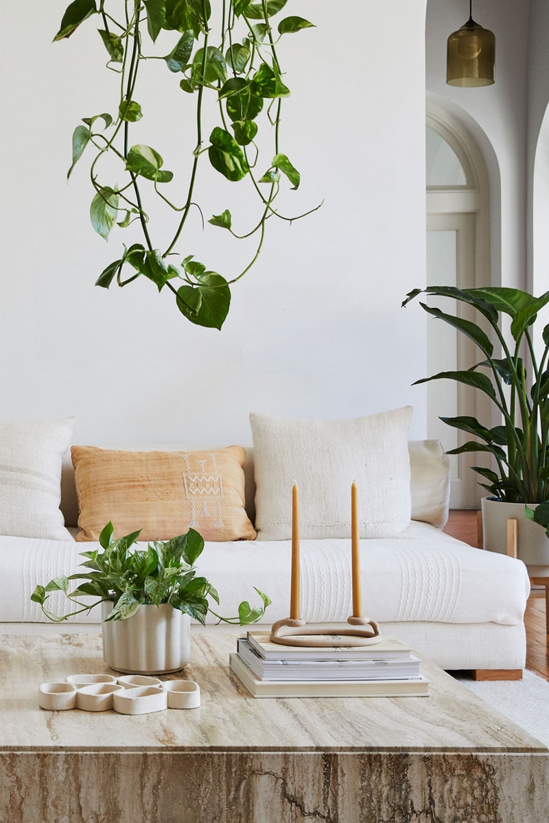 home interior design houseplants hanging trailing