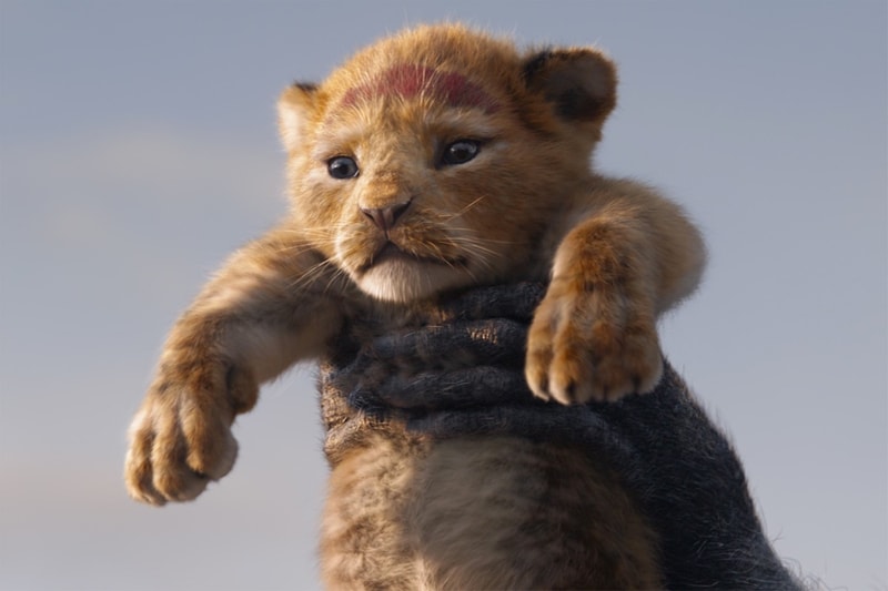 walt disney studios the lion king live action sequel simba