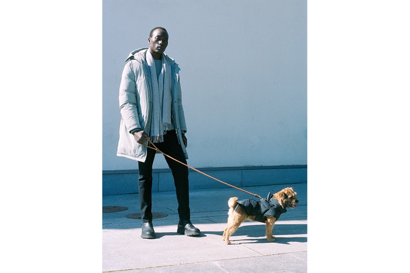 arket upcycled down jackets outerwear dogwear pets fall winter