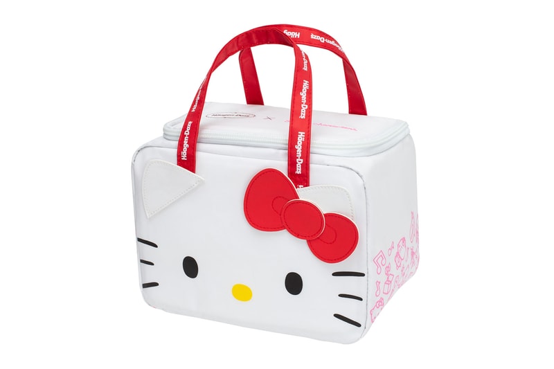 sanrio haagen dazs hello kitty my melody pompompurin ice cream cooler bags release hong kong