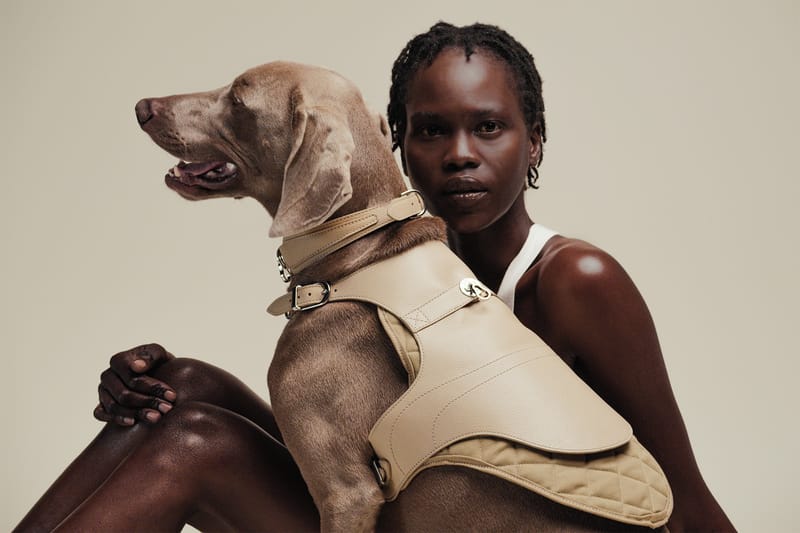 Pagerie Is the First-Ever Luxury Fashion House for Pets You Didn't Know You Needed