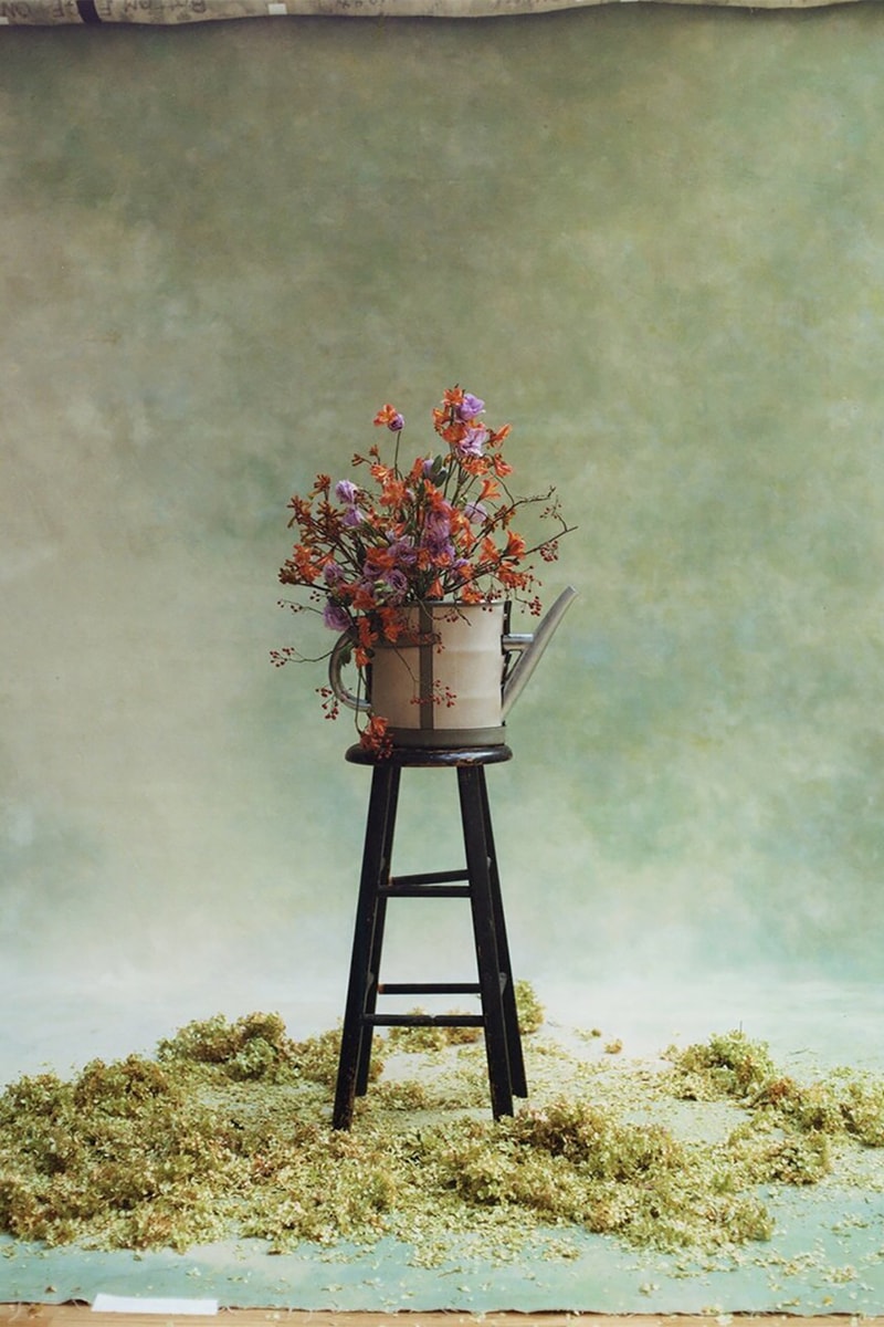 root studios nyc freedom equal justice print sale photography