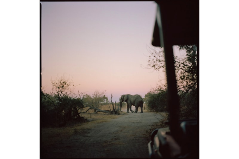 root studios nyc freedom equal justice print sale photography