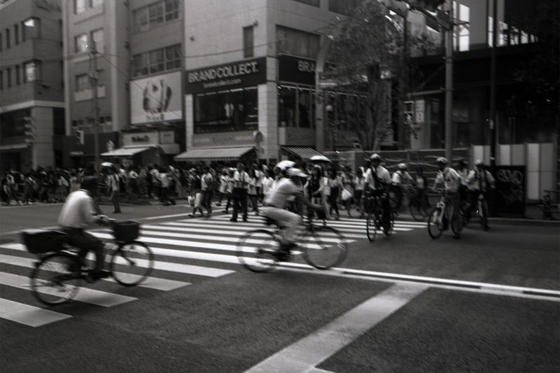 root studios nyc freedom equal justice print sale photography