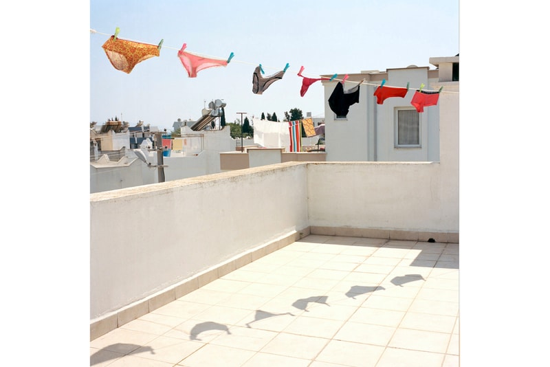 root studios nyc freedom equal justice print sale photography