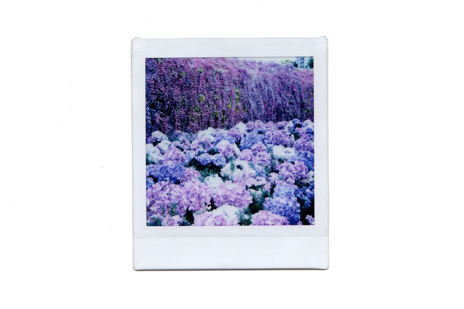 fujifilm instax square sq1 instant camera chalk white photography