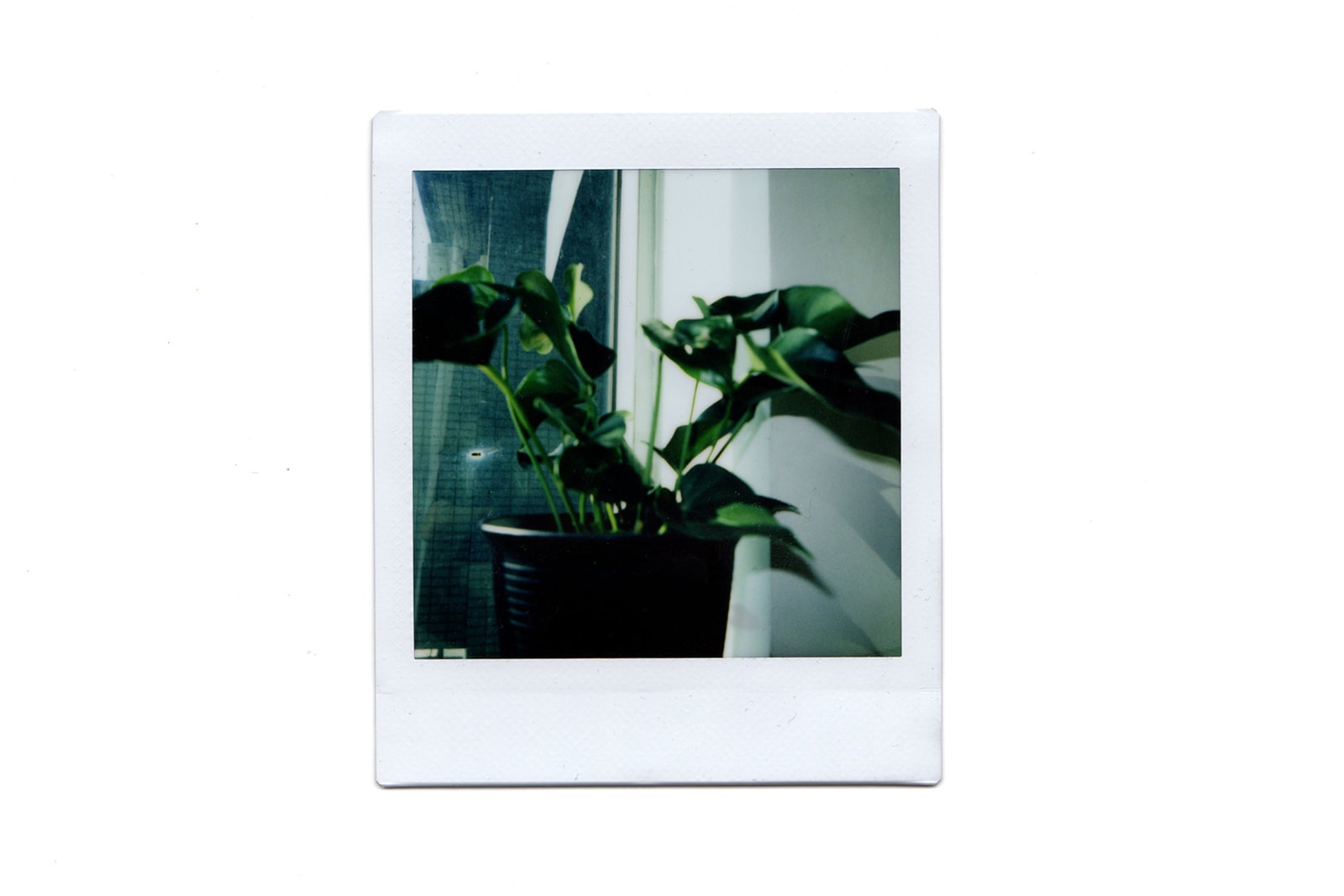 fujifilm instax square sq1 instant camera chalk white photography