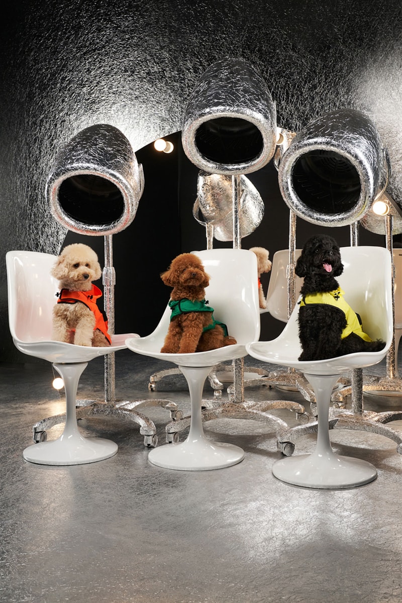 moncler genius poldo dog couture pets mondog puffer vests cloaks collars leash price