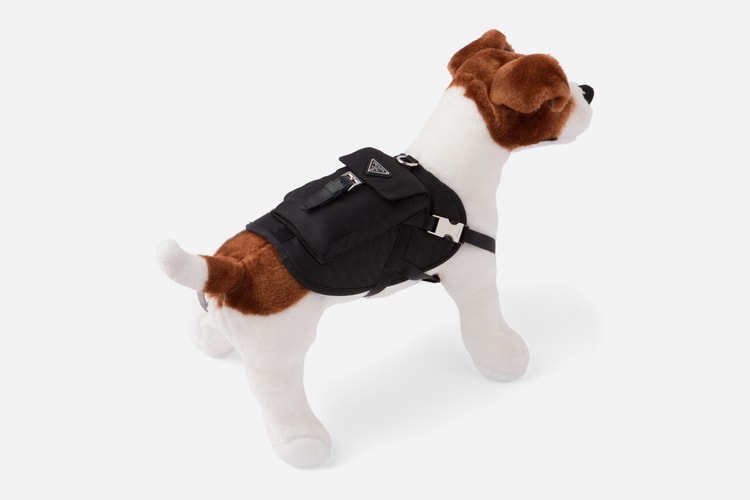Prada Drops Logo Jackets for Dogs