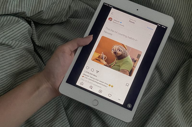 When Election Anxiety Is at an All-Time High, Memes Are Keeping Us Sane