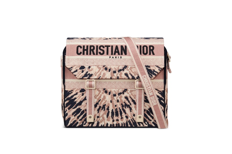 Dior Cruise 2021 Tie-Dye Logo Bags Collection Tote Bag Montaigne Silhouette Pink Navy Blue 