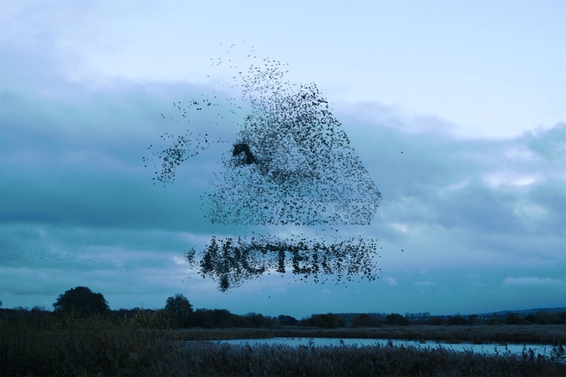 arcteryx palace skateboards collaboration outdoor jackets beanies hoodies gore-tex outerwear release