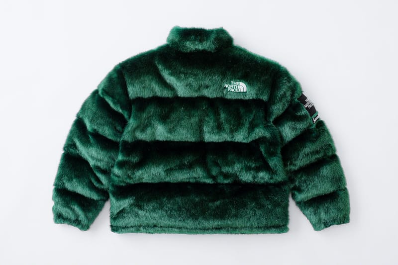 supreme north face bubble jacket