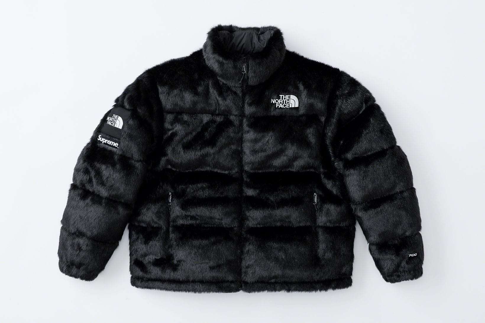 north face backpack coat