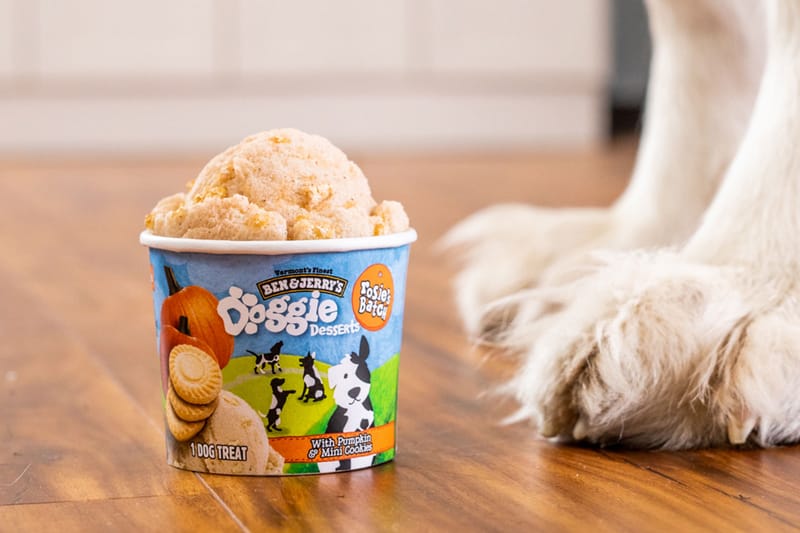 Treat Your Pet to Ben & Jerry’s New Doggie Desserts